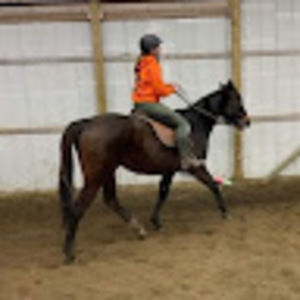 Meet your Posher, Natalie